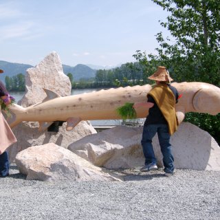 a Front Cover Sturgeon Cleansing